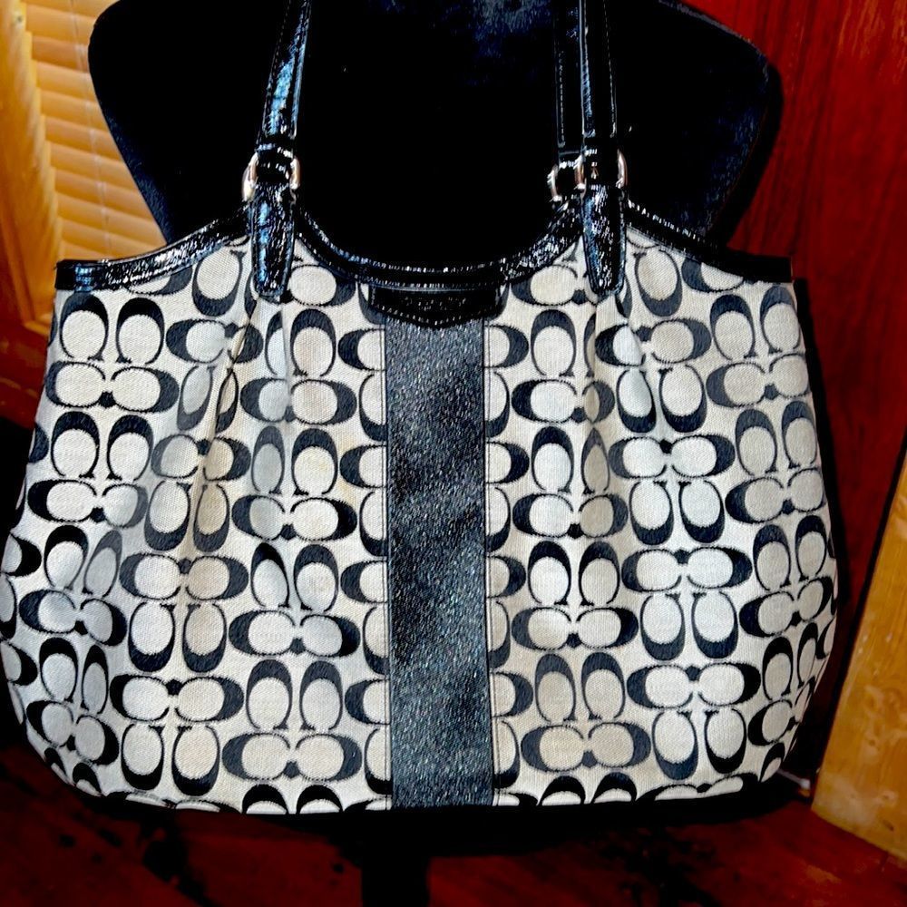 GORGEOUS AUTHENTIC COACH purse